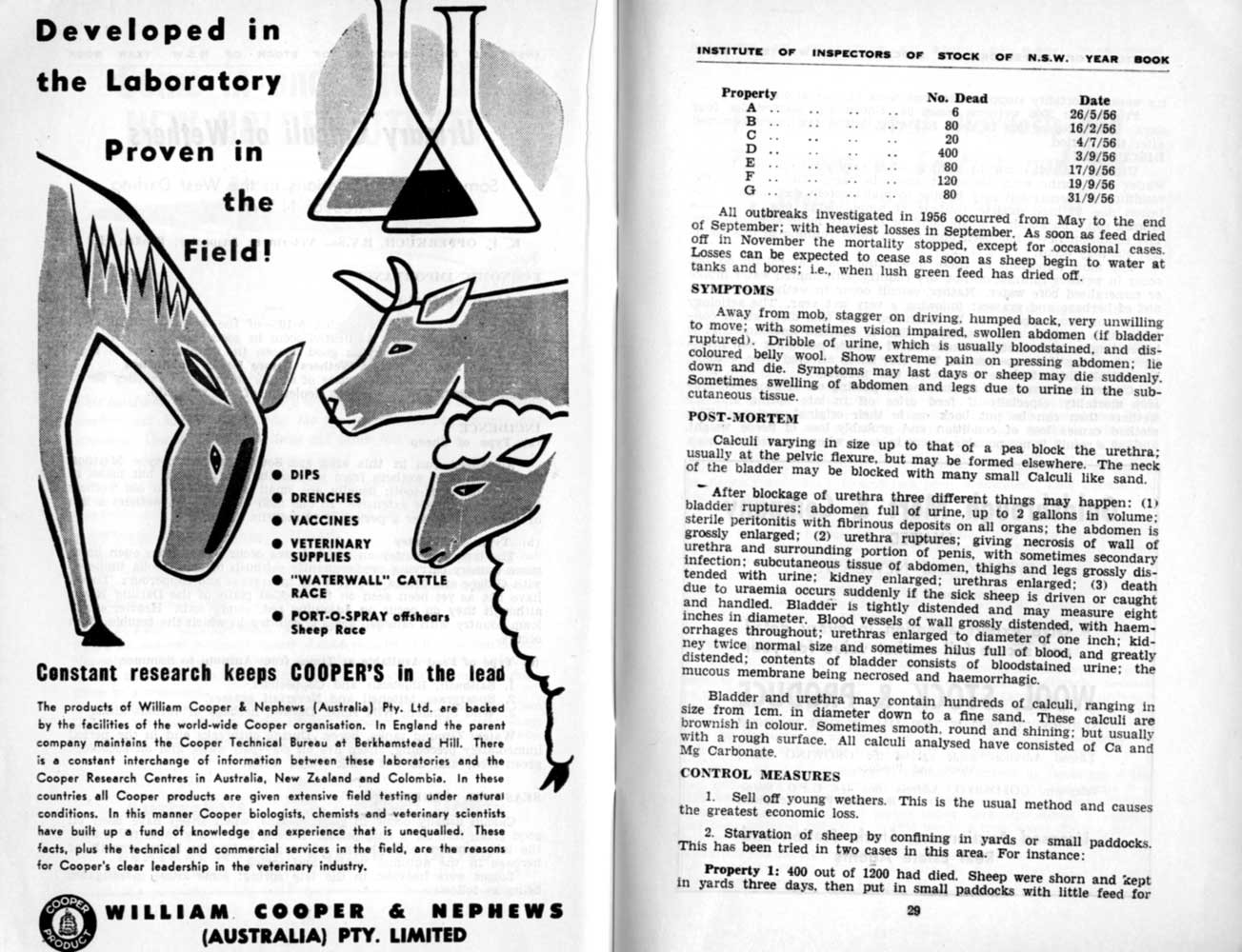 1957 Page 028 029